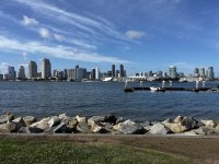 IMG_2469.jpeg
