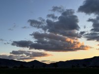 IMG_1624.jpeg