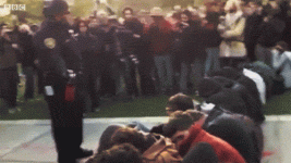 1747327611890.gif