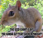 seedcount.jpg