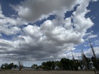 IMG_1632.jpeg