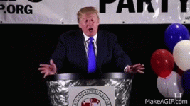 1747436426081.gif