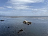 IMG_7780.jpeg