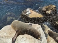 IMG_7788.jpeg