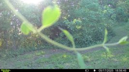 IMG_6138.jpeg