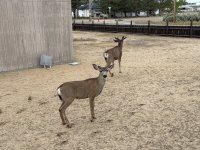 IMG_1660.jpeg