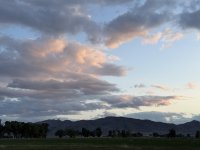 IMG_0295.jpeg