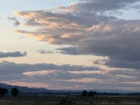 IMG_0287.jpeg