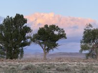 IMG_0288.jpeg