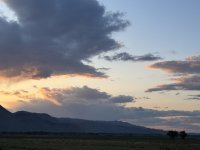 IMG_1675.jpeg