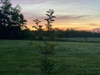 IMG_6140.jpeg