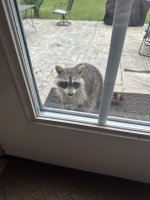 IMG_8431.jpeg