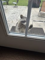 IMG_8432.jpeg