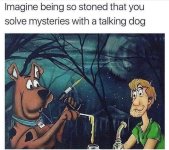 IMG_1219.jpeg