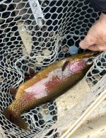 IMG_6103.jpeg