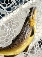IMG_6128.jpeg