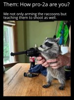 IMG_1252.jpeg