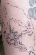 IMG_7088.jpeg