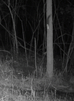 1000030665.gif