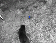 1000030793.gif