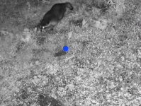 1000030792.gif