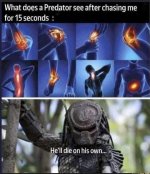 IMG_1226.jpeg