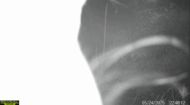 1000031078.gif