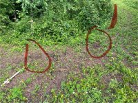 IMG_6213.jpeg