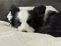 IMG_1880.jpeg