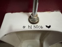 IMG_8505.jpeg