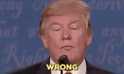 IMG_8535.gif