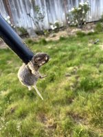 IMG_0158.jpeg