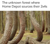 1748615623421.png