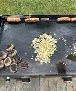 IMG_8574.jpeg