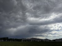 IMG_2094.jpeg