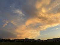 IMG_2099.jpeg