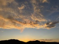 IMG_2100.jpeg