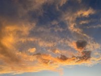 IMG_2101.jpeg