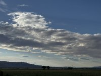 IMG_2108.jpeg