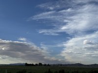 IMG_2113.jpeg