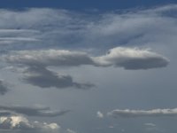IMG_2115.jpeg