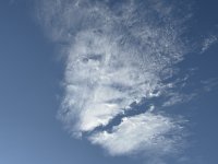 IMG_2116.jpeg
