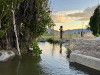 IMG_2120.jpeg