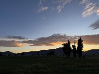 IMG_2130.jpeg