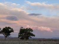 IMG_0930.jpeg