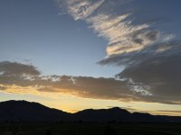 IMG_2124.jpeg