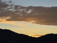IMG_2129.jpeg