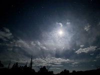 IMG_2140.jpeg
