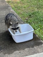 IMG_8611.jpeg