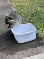 IMG_8612.jpeg
